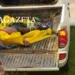 Homem morre durante 'derrubada', no interior do Acre; é o quarto acidente fatal em menos de uma semana