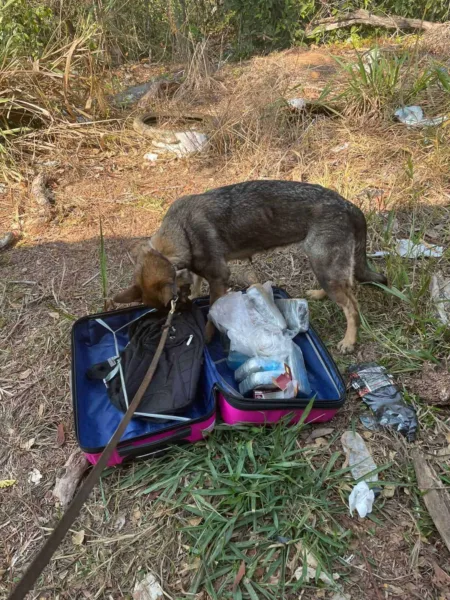 Mulheres são presas com mais de 40 quilos de droga em ônibus que vinha de Cruzeiro para Rio Branco