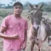 Jovem morre após ser atingido por árvore durante derrubada