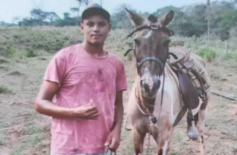 Jovem morre após ser atingido por árvore durante derrubada