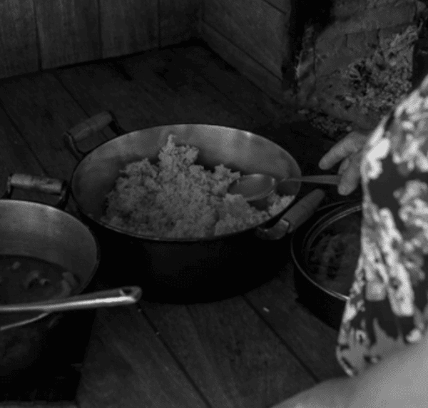 cropped-fome.png