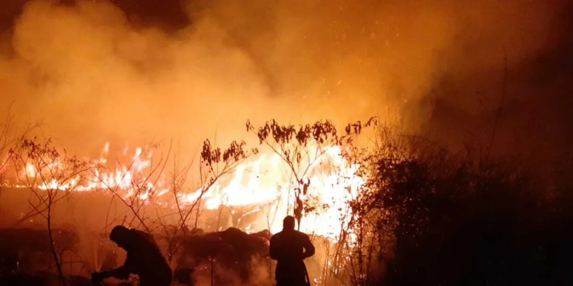 Acre registra recorde de queimadas em setembro com mais de 6,3 mil focos em 26 dias