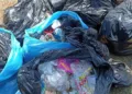 No Dia Mundial da Limpeza, voluntários se reúnem para coletar lixo no centro de Rio Branco