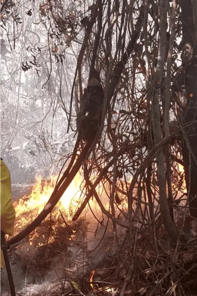Com mais de 5 mil focos, Acre já registra o maior número de queimadas para o mês de setembro, dos últimos 10 anos