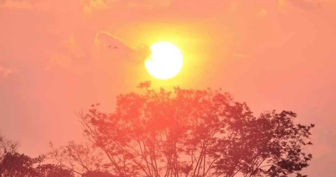 Mundo registra o dia mais quente já visto, segundo observatório europeu