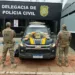 PRF apreende 20 quilos de droga que era transportada em táxi, em Senador Guiomard