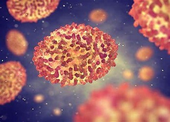 Acre tem mais um caso suspeito da doença