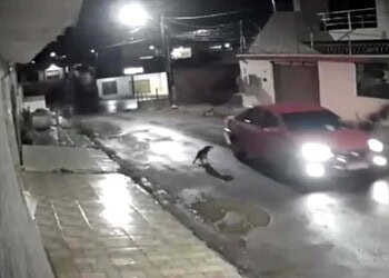 Vídeo mostra momento em que homem é atropelado e motorista foge sem prestar socorro