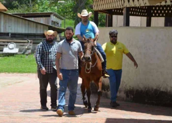 Apae retorna com atividades de equoterapia na capital