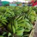 Na entressafra, produção de banana diminui e preço da fruta aumenta em mais de 200% no Acre