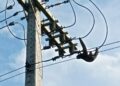Bicho-preguiça é flagrado passeando por rede de energia
