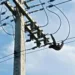 Bicho-preguiça é flagrado passeando por rede de energia