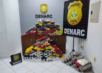 Homem é preso com mais de 220 quilos de drogas escondidos dentro de casa em Rio Branco