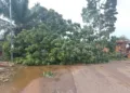 Vendaval: bairro de Rio Branco registra 50 ocorrências de destelhamentos de casas e queda de 12 postes de energia