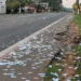 No Acre, 13 são conduzidos à Polícia Federal por causa do derrame de santinhos nas ruas