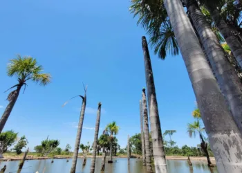 Quinta-feira deve ser mais um dia marcado por altas temperaturas e calor no Acre