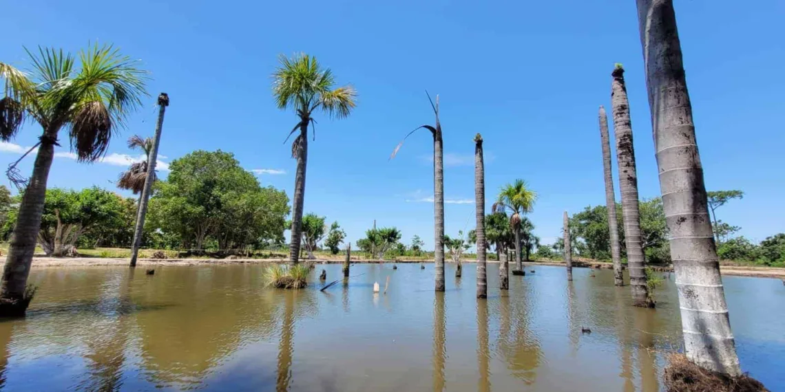 Friagem perde força em todo Acre e dia será ensolarado, nesta quinta-feira, 3