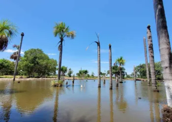 Friagem perde força em todo Acre e dia será ensolarado, nesta quinta-feira, 3