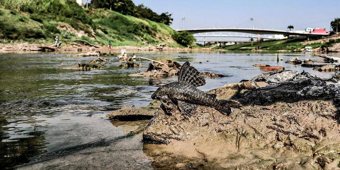 Com seca severa, Rio Acre atinge níveis históricos em 2022 (Foto: Juan Diaz/arquivo pessoal)