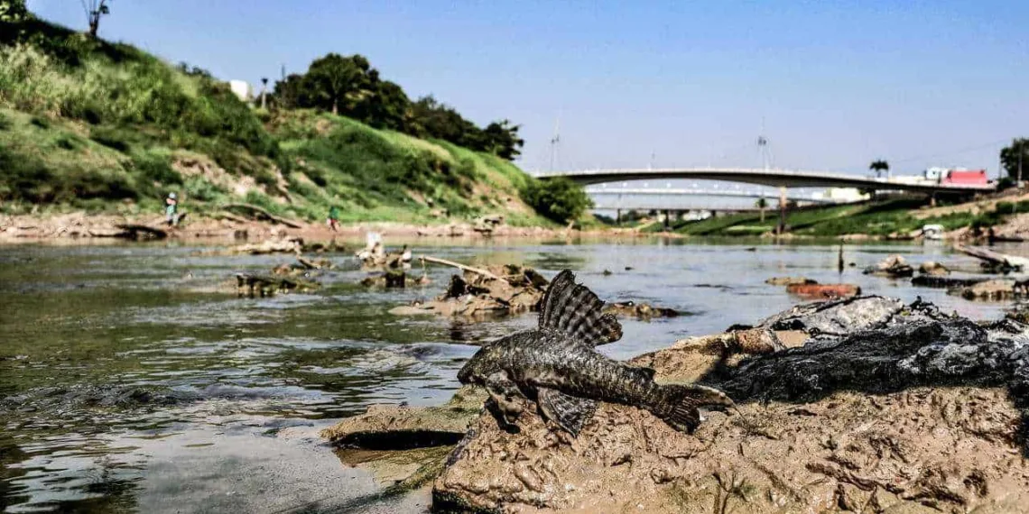 (Foto: Juan Diaz/arquivo pessoal)