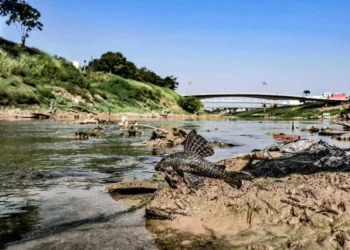 (Foto: Juan Diaz/arquivo pessoal)
