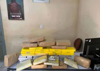 Polícia apreende mais de 30 quilos de cocaína e 15 de maconha em Brasileia