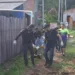 Após contrariar 'regras' da facção, homem é assassinado com seis tiros