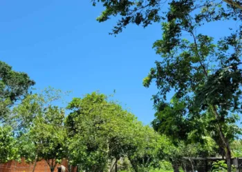 Embora a previsão seja de muito sol, fim de semana pode registrar pancadas de chuva em locais isolados, diz Davi Friale