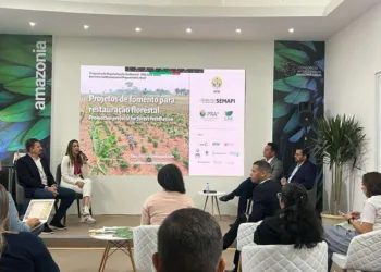 Acre apresenta avanços da política de regularização ambiental e fundiária durante painel na COP27