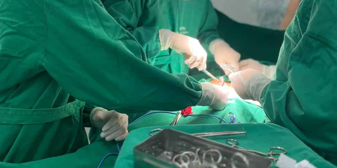 mais de 9 mil cirurgias eletivas em 2022 e programação continua (Foto: reprodução)