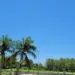 Tempo será de sol forte e calor nesta quinta-feira