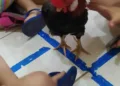 Menina de 3 anos leva galo escondido na mochila para escola e surpreende colegas e professora em Rio Branco
