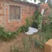 Jovem é executado no quintal de casa por homens armados no Belo Jardim