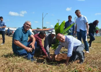 Em Rio Branco, 2 mil mudas de plantas florestais e frutíferas são plantadas às margens do Igarapé Sobral