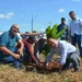 Em Rio Branco, 2 mil mudas de plantas florestais e frutíferas são plantadas às margens do Igarapé Sobral