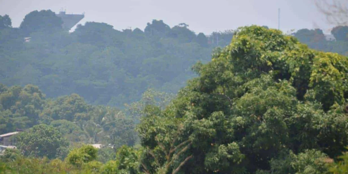 Sábado será de sol e tempo abafado na maior parte das cidades acreanas, prevê Sipam