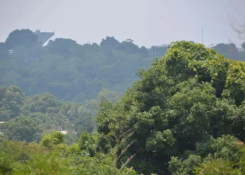 Sábado será de sol e tempo abafado na maior parte das cidades acreanas, prevê Sipam
