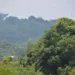 Sábado será de sol e tempo abafado na maior parte das cidades acreanas, prevê Sipam