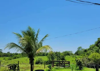 Terça-feira deve ser marcada por sol e calor no Acre, prevê Sipam