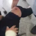 Em Rio Branco, mulher reage a assalto e é ferida a tiros por criminoso