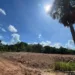 MP investiga possível irregularidade em cemitério de Tarauacá (Foto: MP-AC)