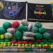 Polícia apreende mais de 60 quilos de drogas armazenadas em sacos em Cruzeiro do Sul (Foto: arquivo/PM-AC)
