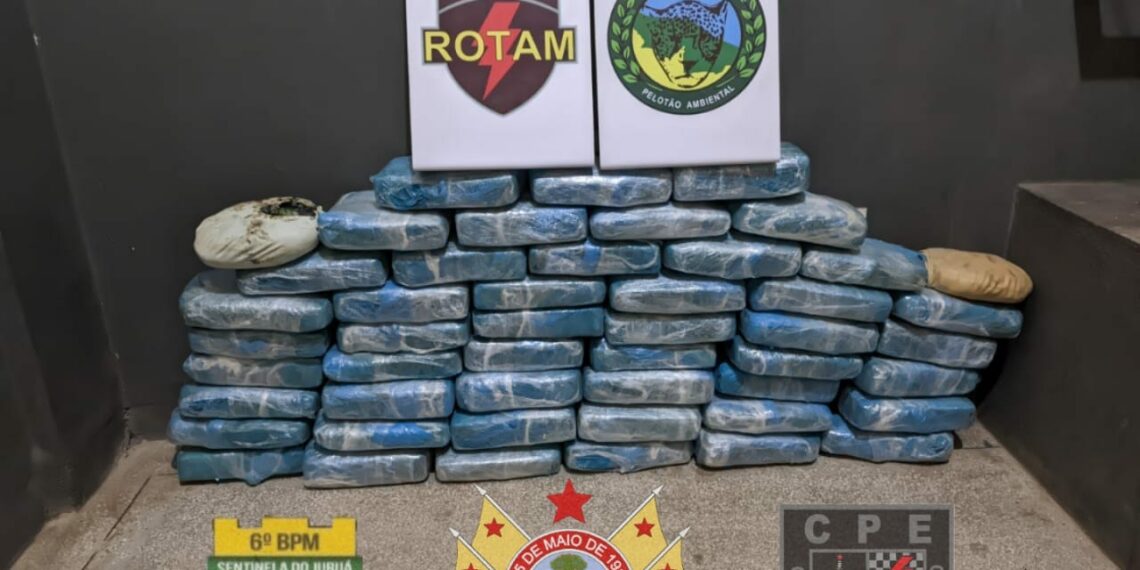 Polícia apreende mais de 52 quilos de drogas em bagagem que seria transportada em ônibus no interior do Acre (Foto: arquivo PM-AC)