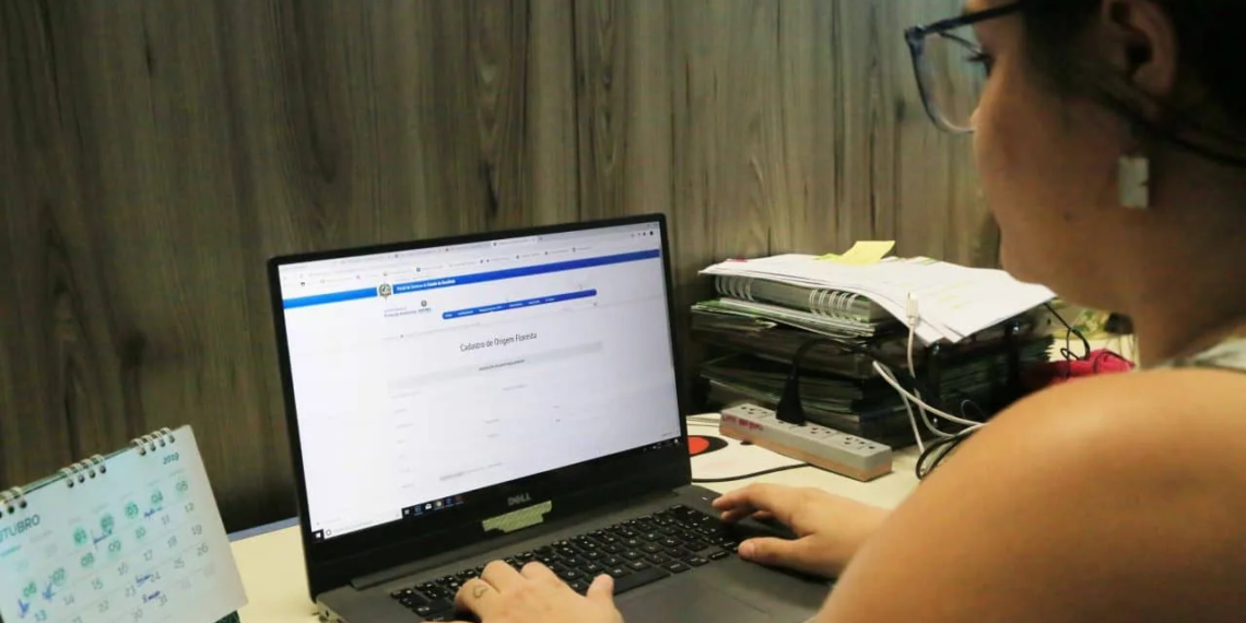 Servidores da Educação têm até 16 de dezembro para atualizar e validar dados cadastrais