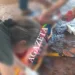Indígena é executado a tiros no interior do Acre