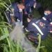 Homem é morto a tiros na frente de casa por dupla em motocicleta