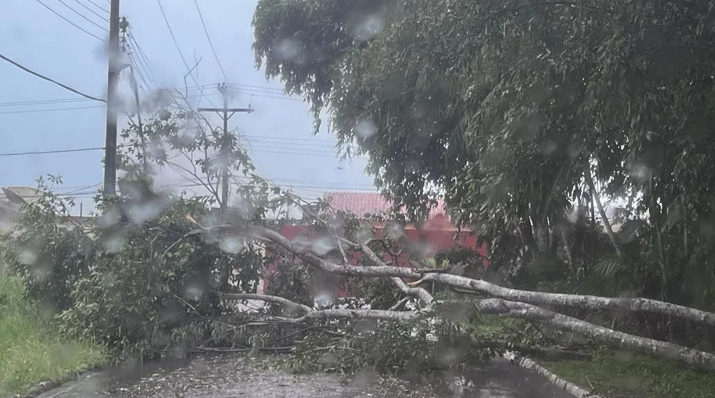 Temporal derruba torre de telefonia em cima de delegacia em Rio Branco; Defesa Civil registrou mais de 30 ocorrências (Foto: Arquivo Defesa Civil)