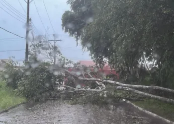 Temporal derruba torre de telefonia em cima de delegacia em Rio Branco; Defesa Civil registrou mais de 30 ocorrências (Foto: Arquivo Defesa Civil)