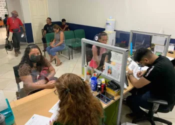 Somente em 2022, mais de quatro mil carteiras de gratuidade foram expedidas pela Ageac. Foto: cedida