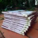 Livro 'Depois do Fim' é lançado nesta quinta-feira, 2, em Rio Branco